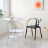 Modern Minimalist Curve Frame Plastic Dining Chair Backrest Armrest For Dining Room