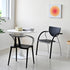 Modern Minimalist Curve Frame Plastic Dining Chair Backrest Armrest For Dining Room