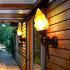 Contemporary Creative Hand Held Torch Aluminum Glass 1-Light Outdoor Wall Sconce Lamp For Garden