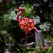 Contemporary Creative Waterproof Solar Flamingo Iron LED Outdoor Landscape Light For Garden