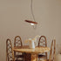 Contemporary Scandinavian Iron Plastic Ball Round 1-Light Pendant Light For Dining Room