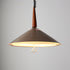 Contemporary Scandinavian Cone Funnel Iron 1-Light Pendant Light For Living Room