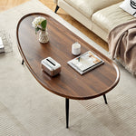 Contemporary Scandinavian Mango Oval Density Plate Iron Coffee Table 4-Leg For Living Room