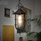 Traditional Vintage Birdcage Boatyard Iron Glass 1-Light Pendant Light For Living Room