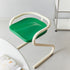 Modern Mid-Century Curved Frame ABS Plastic Metal Dining Chair Backrest Armrest For Dining Room