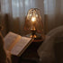 Traditional Vintage Screen Acrylic Iron 1-Light Table Lamp For Bedroom