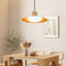 Contemporary Scandinavian Iron PE Acrylic Glass LED Pendant Light For Dining Room