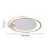 Contemporary Simplicity Iron Circle Ring Acrylic LED Flush Mount Ceiling Light For Living Room