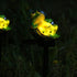 Modern Art Deco Waterproof Solar PP Plastic Resin Frog LED Landscape Lighting Outdoor Light For Garden