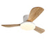 Contemporary Scandinavian Copper Wood Acrylic Fan LED Semi-Flush Mount Ceiling Fan Light For Living Room