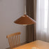 Contemporary Scandinavian Cone Funnel Iron 1-Light Pendant Light For Living Room