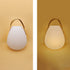 Contemporary Creative Egg Shape PE LED Portable Outdoor Light For Garden