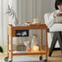 Contemporary Scandinavian Rectangular Wood Glass Coffee Table 2-Tier For Living Room