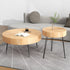 Modern Minimalist Round Annual Wood Stainless Steel Coffee Table For Living Room