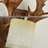 Contemporary Scandinavian Antler Cylinder Resin Glass 1-Light Wall Sconce Lamp For Living Room