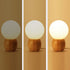 Contemporary Scandinavian Orb Glass Wood Base 1-Light Table Lamp For Bedroom