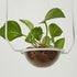 Modern Art Deco Iron Glass Elliptical Simulated Greenery 1-Light Pendant Light For Dining Room
