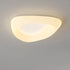 Modern Minimalist PE Cookie Cloud Shape Iron LED Flush Mount Ceiling Light For Bedroom