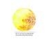 Contemporary Creative Moon Resin 1-Light Outdoor Landscape Light For Garden