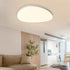 Modern Minimalist Iron Acrylic Round Triangle LED Flush Mount Ceiling Light For Living Room