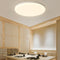 Modern Minimalist Iron Acrylic Round Triangle LED Flush Mount Ceiling Light For Living Room