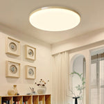 Modern Minimalist Iron Acrylic Round Triangle LED Flush Mount Ceiling Light For Living Room