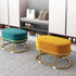 Contemporary Scandinavian Velvet Fabric Sponge Iron Round Elliptical Rectangular Footstool Backless For Entryway