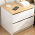 Modern Minimalist Rectangular Faux Panel Nightstand 2-Drawer For Bedroom