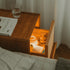 Contemporary Scandinavian Square Rectangular Rattan Solid Wood Nightstand 2-Drawer For Bedroom