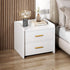 Modern Minimalist Rectangular Solid Wood High Density Panel Nightstand 2-Drawer For Bedroom