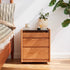Modern Minimalist Removable Square Glass Solid Wood Nightstand 2-Drawer For Bedroom