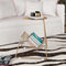 Contemporary Scandinavian Round Tabletop Iron Coffee Table 1-Shelf For Living Room