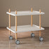 Modern Minimalist Square Countertop PP Plate Solid Wood Metal Coffee Table 2-Shelf For Living Room