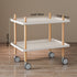 Modern Minimalist Square Countertop PP Plate Solid Wood Metal Coffee Table 2-Shelf For Living Room