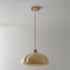 Contemporary Vintage Glass Pumpkin Shade Wood 1-Light Pendant Light For Living Room