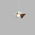 Traditional Japanese Resin Irregular Leaf Shape 1-Light Pendant Light For Living Room