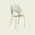 Modern Minimalist Scalloped Shell ABS Iron Chair With Four Legs Backrest For Living Room