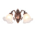 Traditional European Iron Glass Flower 2-Light Wall Sconce Lamp For Living Room