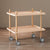 Modern Minimalist Square Countertop PP Plate Solid Wood Metal Coffee Table 2-Shelf For Living Room