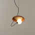 Contemporary Scandinavian Iron Plastic Ball Round 1-Light Pendant Light For Dining Room