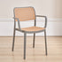 Contemporary Simplicity Square Rattan-like Plastic Stackable Dining Chair Armrest Backrest For Dining Room