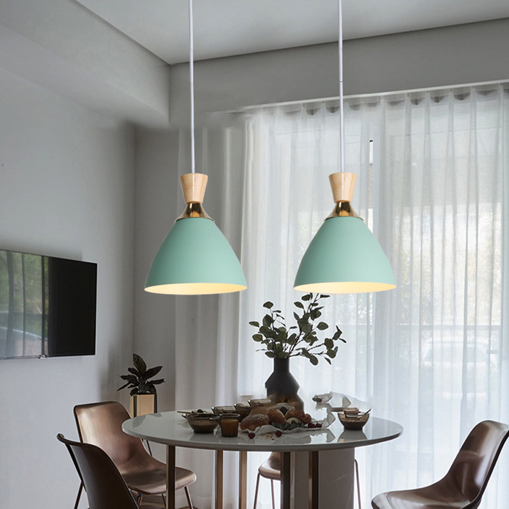 Modern Minimalist Cone Iron 1-Light Pendant Light For Living Room