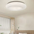 Modern Minimalist Iron Acrylic Round Shade LED Flush Mount Ceiling Light For Living Room