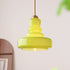 Contemporary Vintage Round Gourd Iron Copper Glass 1-Light Pendant Light For Living Room