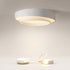 Contemporary Simplicity Two-layer Circle Shade Iron LED Flush Mount Ceiling Light For Living Room