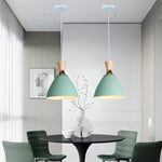 Modern Minimalist Cone Iron 1-Light Pendant Light For Living Room