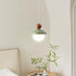 Modern Minimalist Round Globe Hooded Iron Glass 1-Light Pendant Light For Bedroom