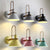 Contemporary Scandinavian Macaron Horn Iron 1-Light Wall Sconce Lamp For Hallway