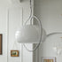 Contemporary Retro Oval Iron Glass 1-Light Pendant Light For Living Room