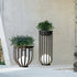 Modern Minimalist Round Cage Shelf Outdoor Waterproof 1-Light Landscape Light For Garden